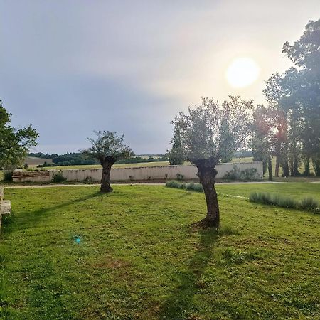 Maison Saint-Pé  Béraut Esterno foto