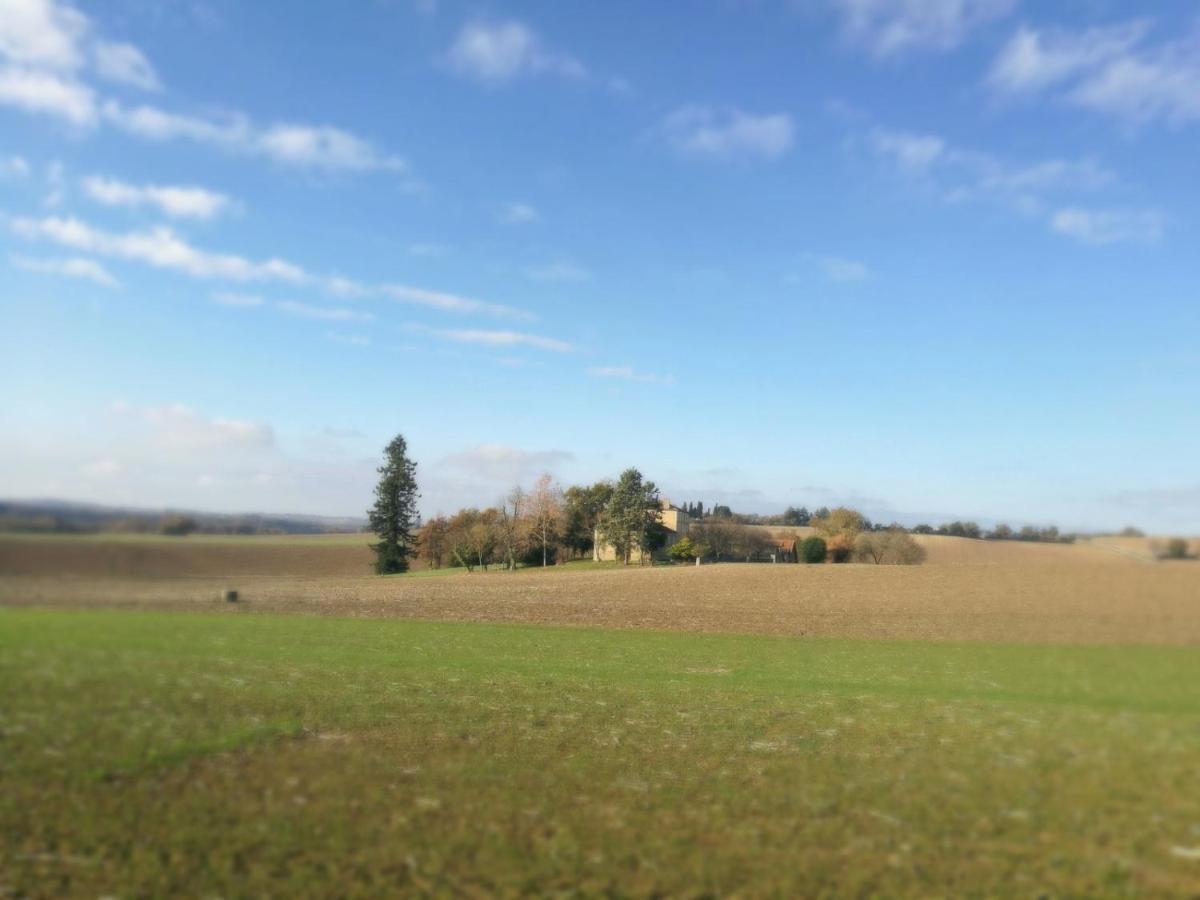 Maison Saint-Pé  Béraut Esterno foto