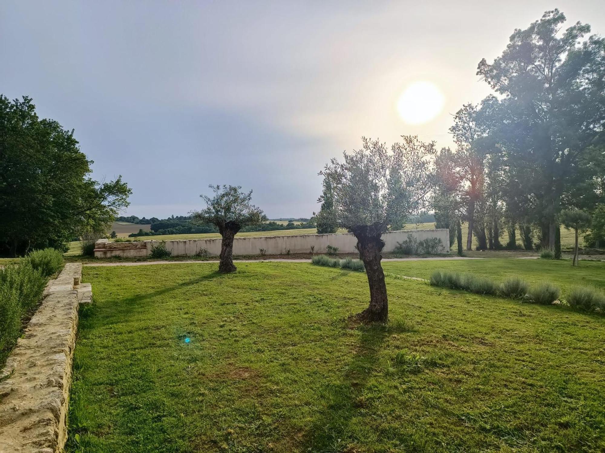 Maison Saint-Pé  Béraut Esterno foto